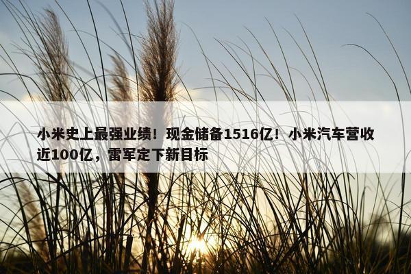 小米史上最强业绩！现金储备1516亿！小米汽车营收近100亿，雷军定下新目标