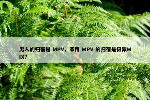 男人的归宿是 MPV，家用 MPV 的归宿是极氪MIX？