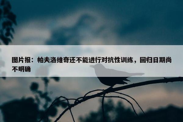 图片报：帕夫洛维奇还不能进行对抗性训练，回归日期尚不明确