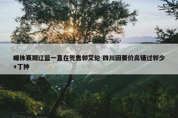 曝休赛期辽篮一直在兜售郭艾伦 四川因要价高错过郭少+丁神