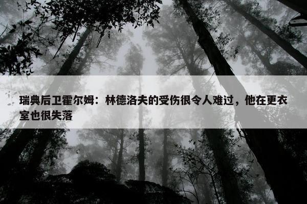 瑞典后卫霍尔姆：林德洛夫的受伤很令人难过，他在更衣室也很失落