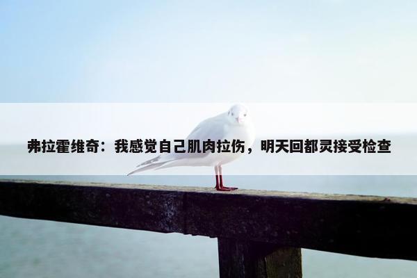 弗拉霍维奇：我感觉自己肌肉拉伤，明天回都灵接受检查