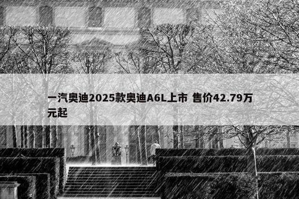 一汽奥迪2025款奥迪A6L上市 售价42.79万元起