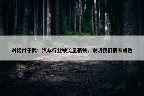 对话付于武：汽车行业被流量裹挟，说明我们很不成熟