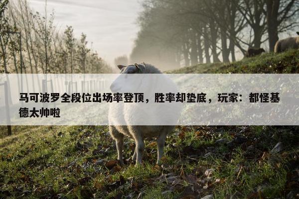 马可波罗全段位出场率登顶，胜率却垫底，玩家：都怪基德太帅啦