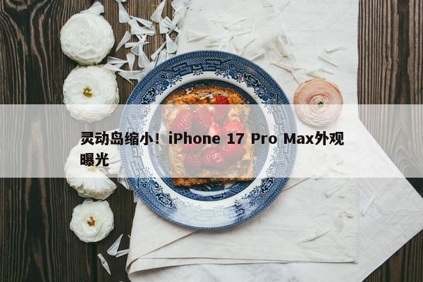 灵动岛缩小！iPhone 17 Pro Max外观曝光