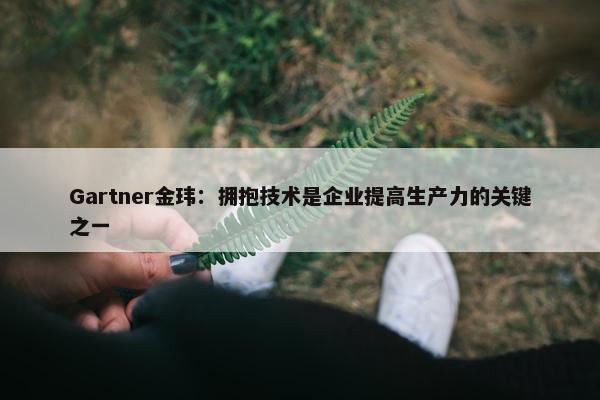 Gartner金玮：拥抱技术是企业提高生产力的关键之一