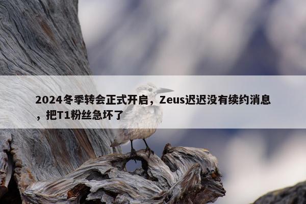 2024冬季转会正式开启，Zeus迟迟没有续约消息，把T1粉丝急坏了