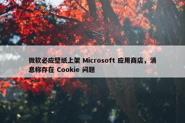 微软必应壁纸上架 Microsoft 应用商店，消息称存在 Cookie 问题