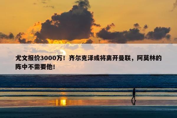 尤文报价3000万！齐尔克泽或将离开曼联，阿莫林的阵中不需要他！