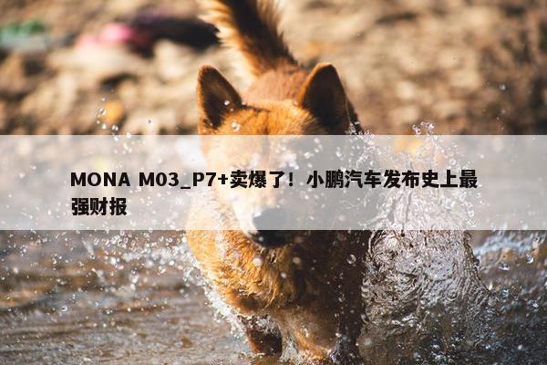 MONA M03_P7+卖爆了！小鹏汽车发布史上最强财报