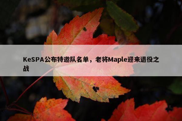 KeSPA公布特邀队名单，老将Maple迎来退役之战