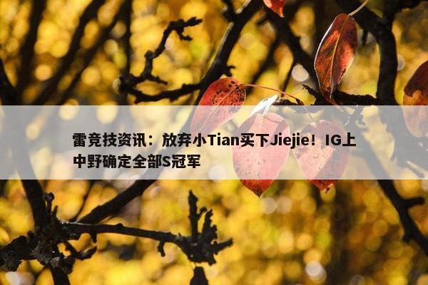 雷竞技资讯：放弃小Tian买下Jiejie！IG上中野确定全部S冠军