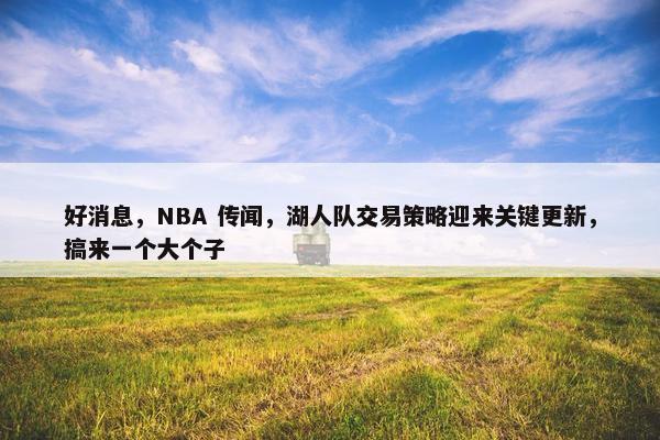 好消息，NBA 传闻，湖人队交易策略迎来关键更新，搞来一个大个子