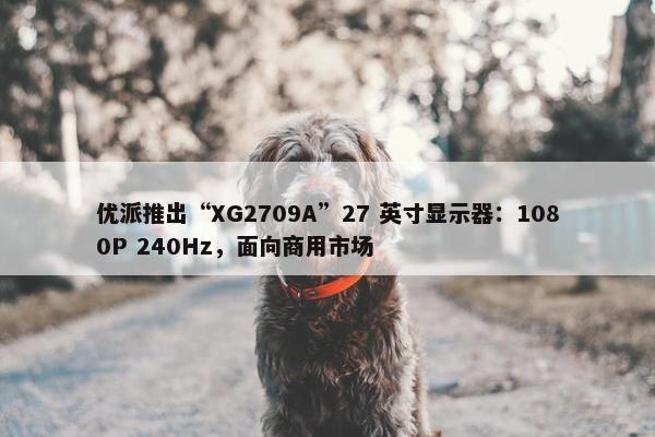 优派推出“XG2709A”27 英寸显示器：1080P 240Hz，面向商用市场