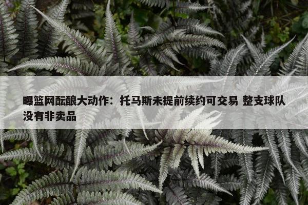 曝篮网酝酿大动作：托马斯未提前续约可交易 整支球队没有非卖品