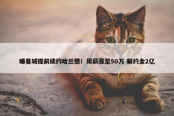 曝曼城提前续约哈兰德！周薪涨至50万 解约金2亿