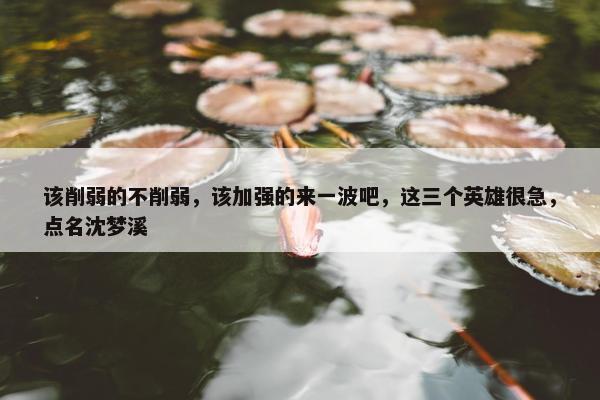 该削弱的不削弱，该加强的来一波吧，这三个英雄很急，点名沈梦溪