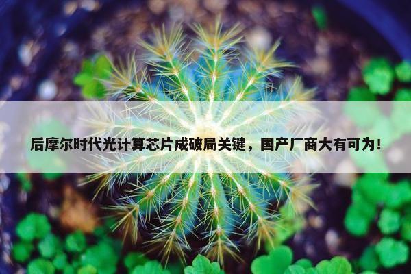 后摩尔时代光计算芯片成破局关键，国产厂商大有可为！