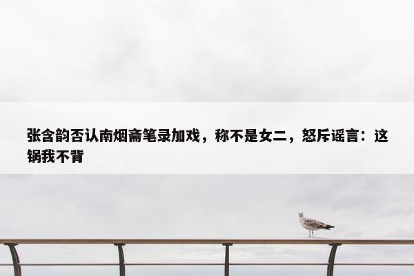 张含韵否认南烟斋笔录加戏，称不是女二，怒斥谣言：这锅我不背