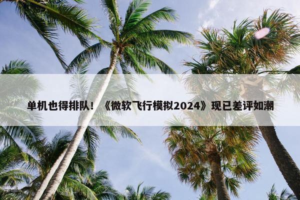 单机也得排队！《微软飞行模拟2024》现已差评如潮