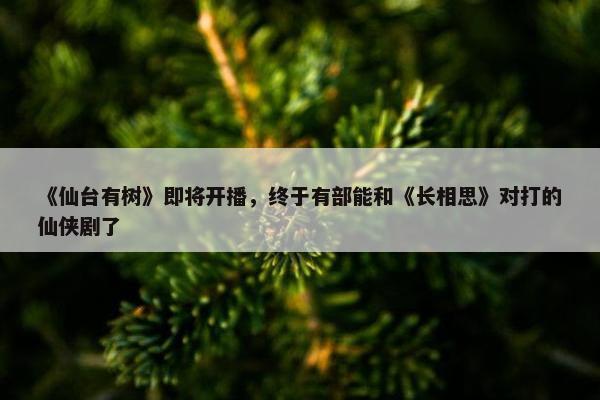 《仙台有树》即将开播，终于有部能和《长相思》对打的仙侠剧了