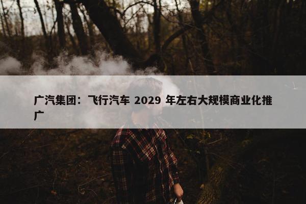 广汽集团：飞行汽车 2029 年左右大规模商业化推广