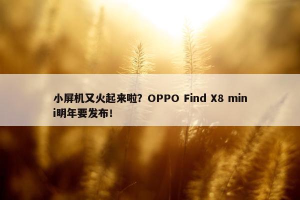 小屏机又火起来啦？OPPO Find X8 mini明年要发布！