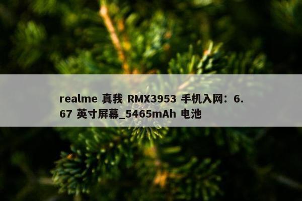 realme 真我 RMX3953 手机入网：6.67 英寸屏幕_5465mAh 电池