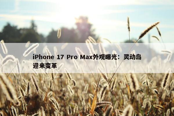 iPhone 17 Pro Max外观曝光：灵动岛迎来变革