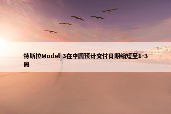 特斯拉Model 3在中国预计交付日期缩短至1-3周