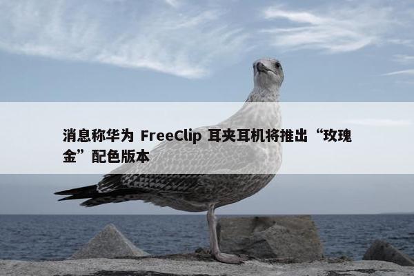 消息称华为 FreeClip 耳夹耳机将推出“玫瑰金”配色版本