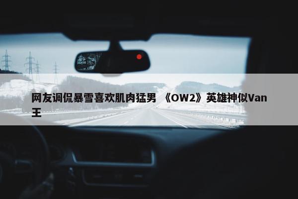 网友调侃暴雪喜欢肌肉猛男 《OW2》英雄神似Van王