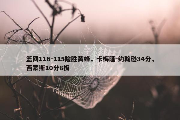 篮网116-115险胜黄蜂，卡梅隆-约翰逊34分，西蒙斯10分8板