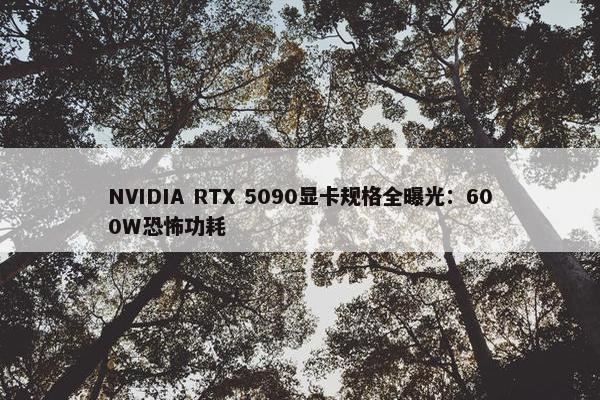 NVIDIA RTX 5090显卡规格全曝光：600W恐怖功耗