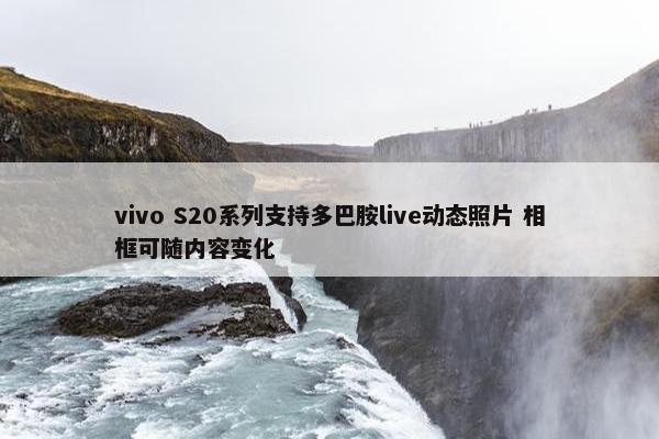 vivo S20系列支持多巴胺live动态照片 相框可随内容变化