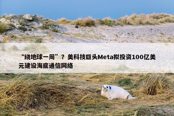 “绕地球一周”？美科技巨头Meta拟投资100亿美元建设海底通信网络