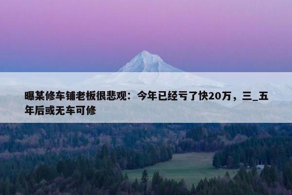 曝某修车铺老板很悲观：今年已经亏了快20万，三_五年后或无车可修