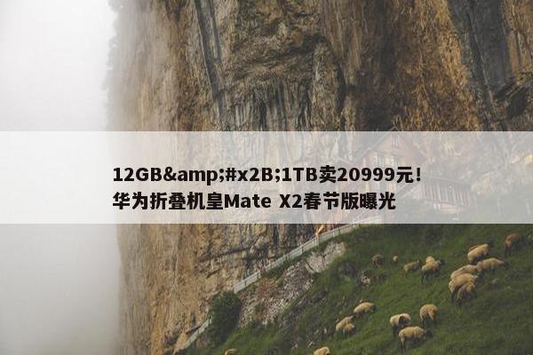 12GB&#x2B;1TB卖20999元！华为折叠机皇Mate X2春节版曝光