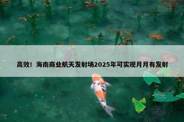 高效！海南商业航天发射场2025年可实现月月有发射