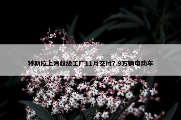 特斯拉上海超级工厂11月交付7.9万辆电动车