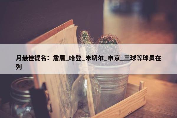 月最佳提名：詹眉_哈登_米切尔_申京_三球等球员在列