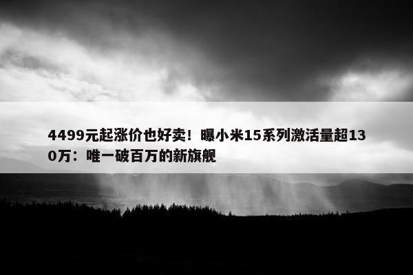 4499元起涨价也好卖！曝小米15系列激活量超130万：唯一破百万的新旗舰