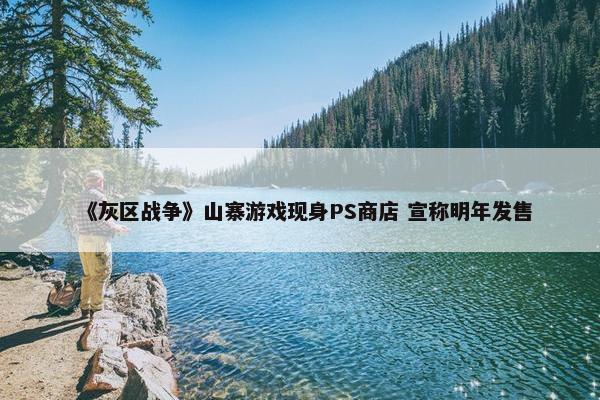 《灰区战争》山寨游戏现身PS商店 宣称明年发售