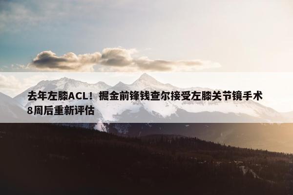 去年左膝ACL！掘金前锋钱查尔接受左膝关节镜手术 8周后重新评估