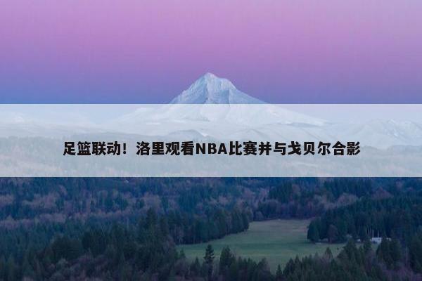 足篮联动！洛里观看NBA比赛并与戈贝尔合影