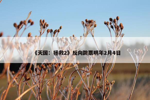 《天国：拯救2》反向跳票明年2月4日