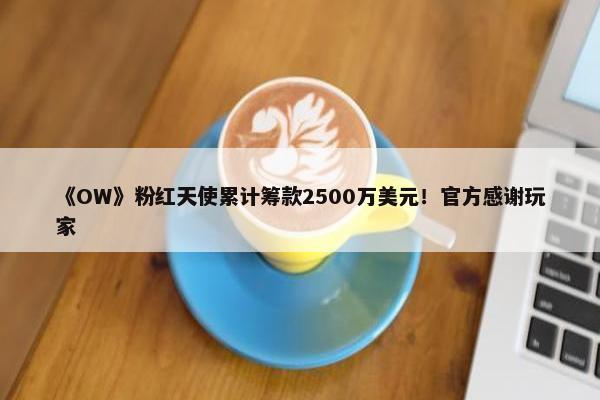 《OW》粉红天使累计筹款2500万美元！官方感谢玩家