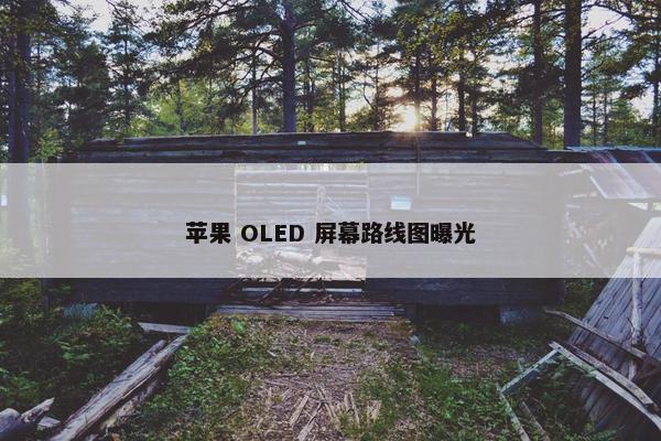 苹果 OLED 屏幕路线图曝光