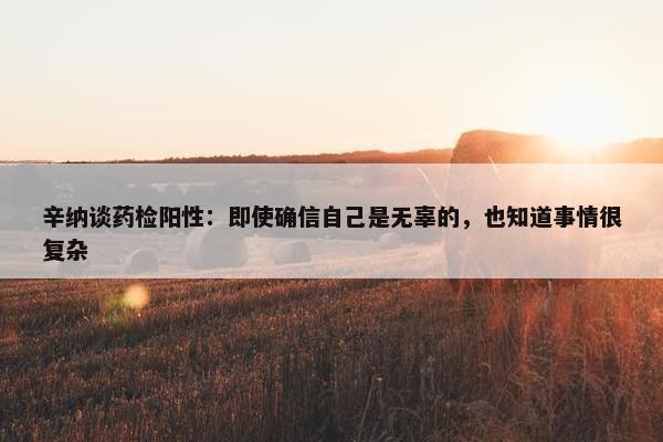 辛纳谈药检阳性：即使确信自己是无辜的，也知道事情很复杂